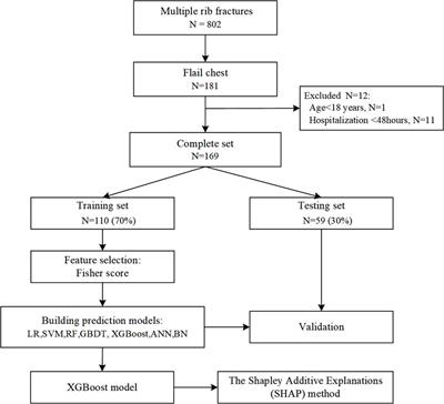 Predicting pneumonia during hospitalization in flail chest patients using machine learning approaches
